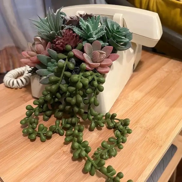 Vintage office phone with succulents - Picture 3 of 3
